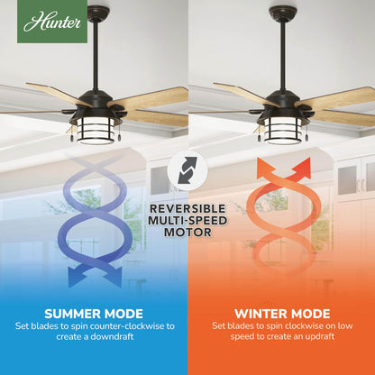 Hunter Fan Company, 59273, 54 inch Key Biscayne Onyx Bengal Indoor/Outdoor Ceiling Fan with LED Light Kit and Pull Chain