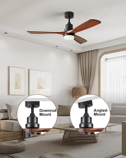 Chriari CEILING FAN