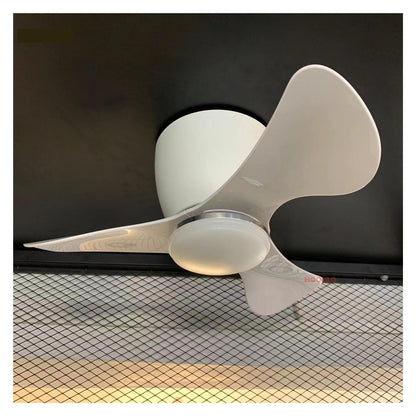 CCZRD 22 Zoll Deckenventilator mit Licht und Fernbedienung Mini Ventilator Indoor Outdoor Leise Beleuchtung angenehme Windgeschwindigkeit